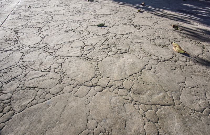 Decorative Concrete Repair in Summerville, SC
