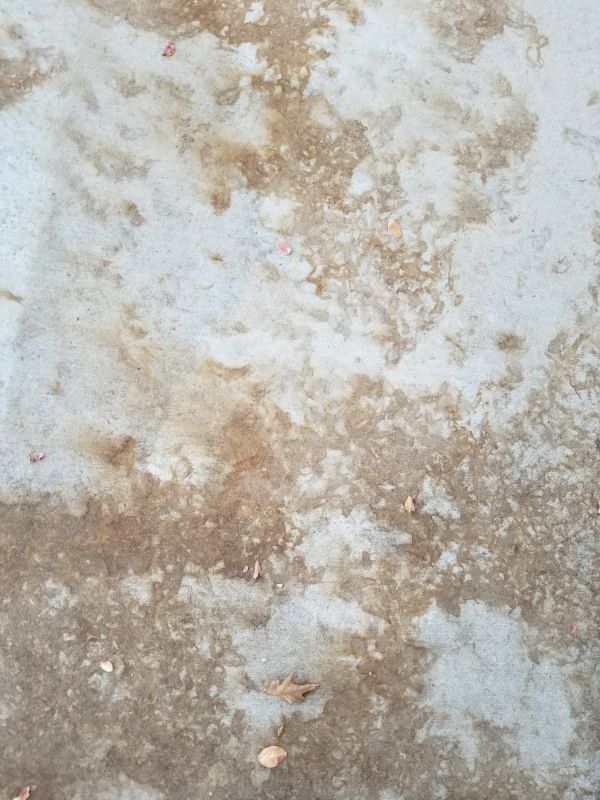 Stained Cement Installation