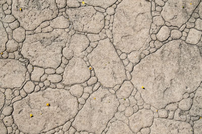 Decorative Concrete Repair in Roswell, GA
