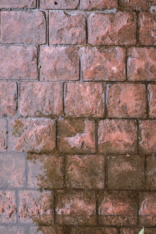 Decorative Concrete Repair in Fort Worth, TX